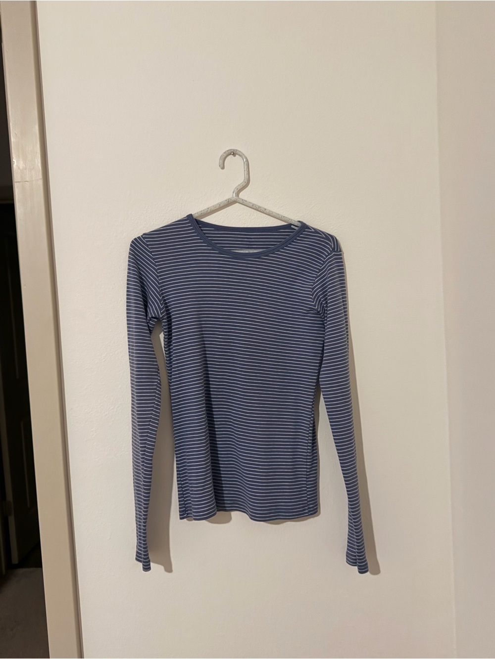 Brandy Melville Striped Long-Sleeve Crewneck Top in Blue and White